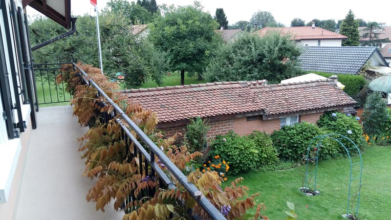 Wohnung mit 5,5 Zimmern im Dachgeschoss mit viel Charme, 1. Stock, ca. 129 m2 (7)