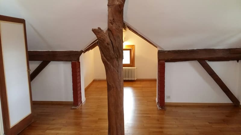 Wohnung mit 5,5 Zimmern im Dachgeschoss mit viel Charme, 1. Stock, ca. 129 m2 (4)