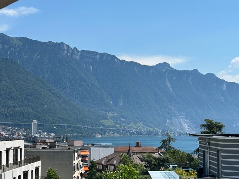 Appartamento ristrutturato di 3.5 locali con vista sul lago, 6° piano, circa 60 m2 (6)