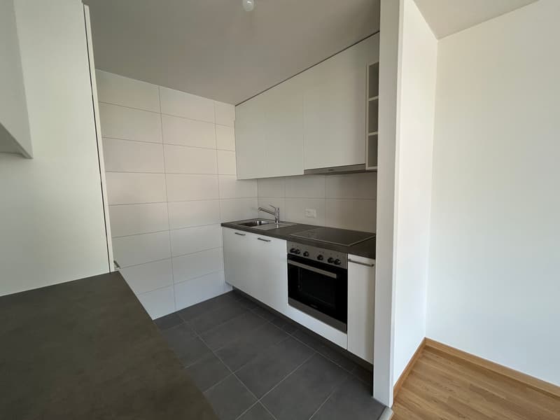 Appartamento rinnovato di 3.5 locali con vista sul lago, 6° piano, circa 76 m2 (2)