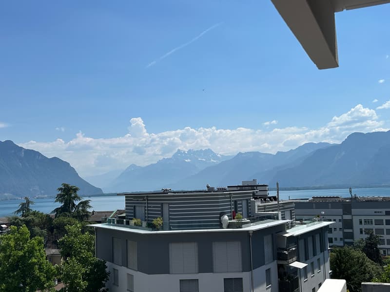 Appartamento rinnovato di 3.5 locali con vista sul lago, 6° piano, circa 76 m2 (3)