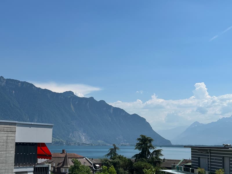 Appartamento rinnovato di 3.5 locali con vista sul lago, 6° piano, circa 76 m2 (4)