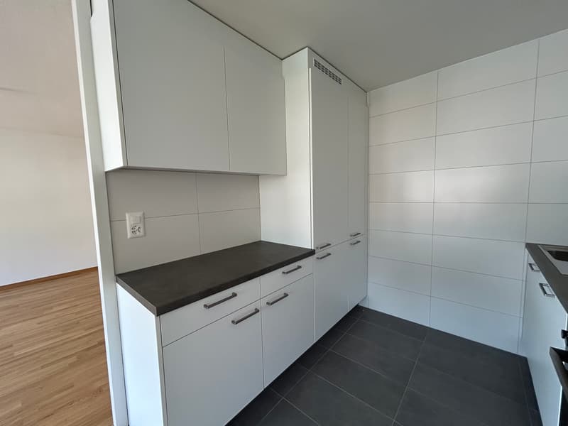 Appartamento rinnovato di 3.5 locali con vista sul lago, 6° piano, circa 76 m2 (1)