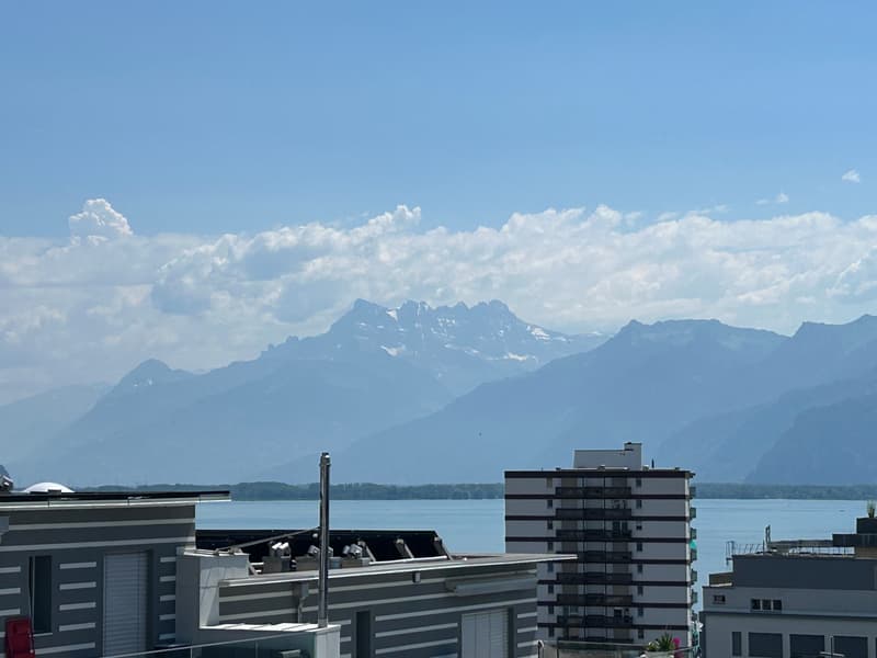 Appartement rénové de 3.5 pièces avec vue sur le lac, 6ème étage, env. 60 m2 (5)
