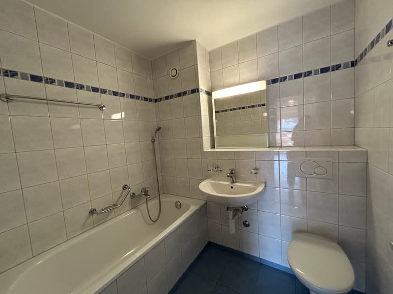 Appartement rénové de 3.5 pièces avec vue sur le lac, 6ème étage, env. 60 m2 (4)