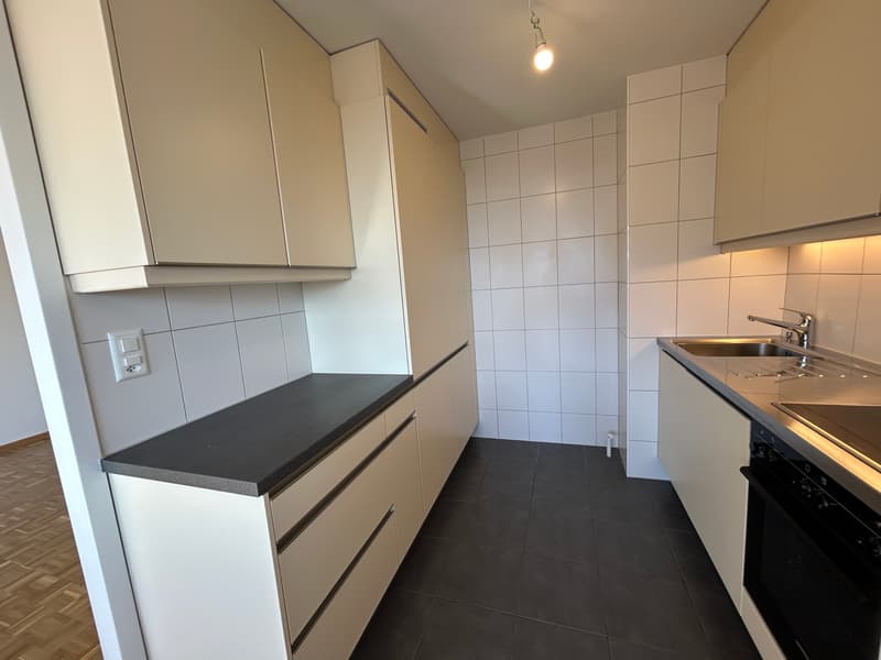 Appartement rénové de 3.5 pièces avec vue sur le lac, 6ème étage, env. 60 m2 (1)