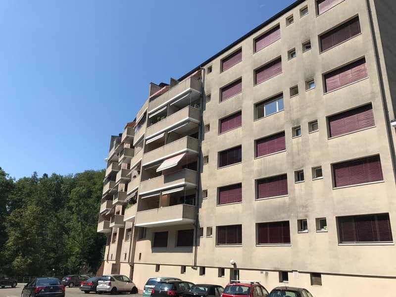 Appartement de 2 pièces, 2ème étage, env. 50 m2 (1)