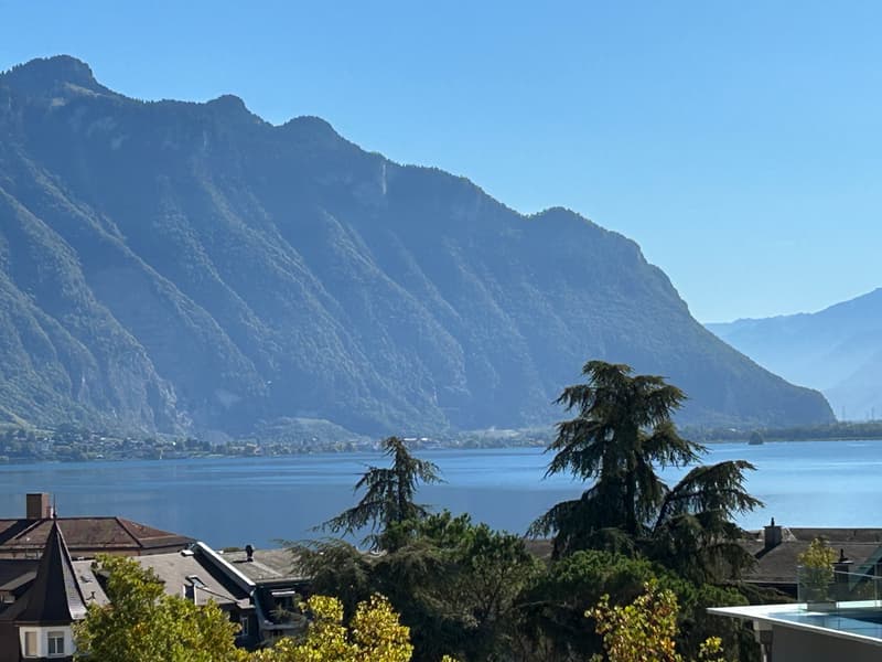 Appartement rénové de 3.5 pièces avec vue sur le lac, 6ème étage, env. 76 m2 (7)