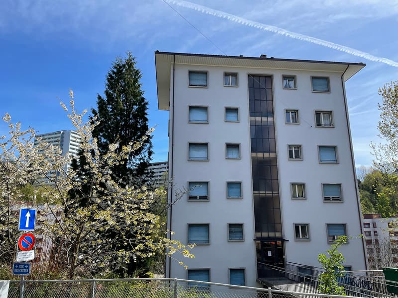 Appartement rafraîchi de 1 pièce, rez-de-chaussée, env. 22 m2 (1)