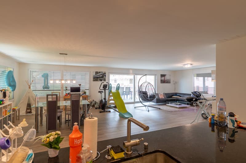 Open plan living room and kitchen, dining table, couch, slide, exercise equipment, kitchen sink, countertop, flower vase, bottles, cleaning products