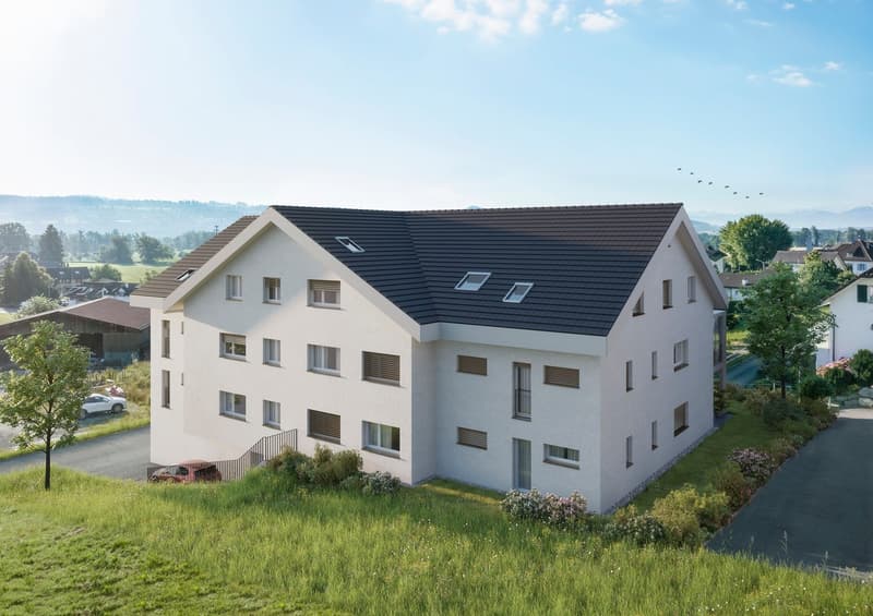 Visualisierung Projekt "Flachsee"