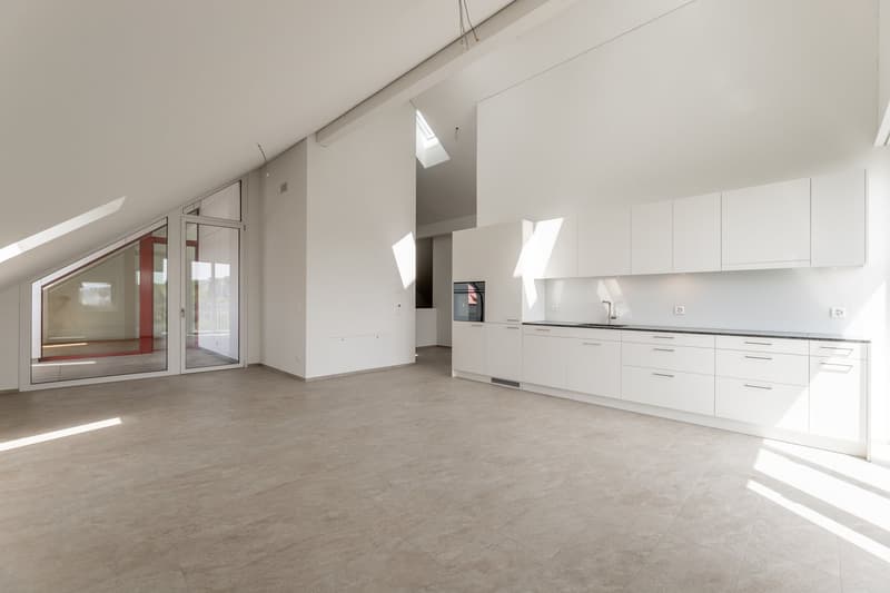 Dream property with a distant view (3)