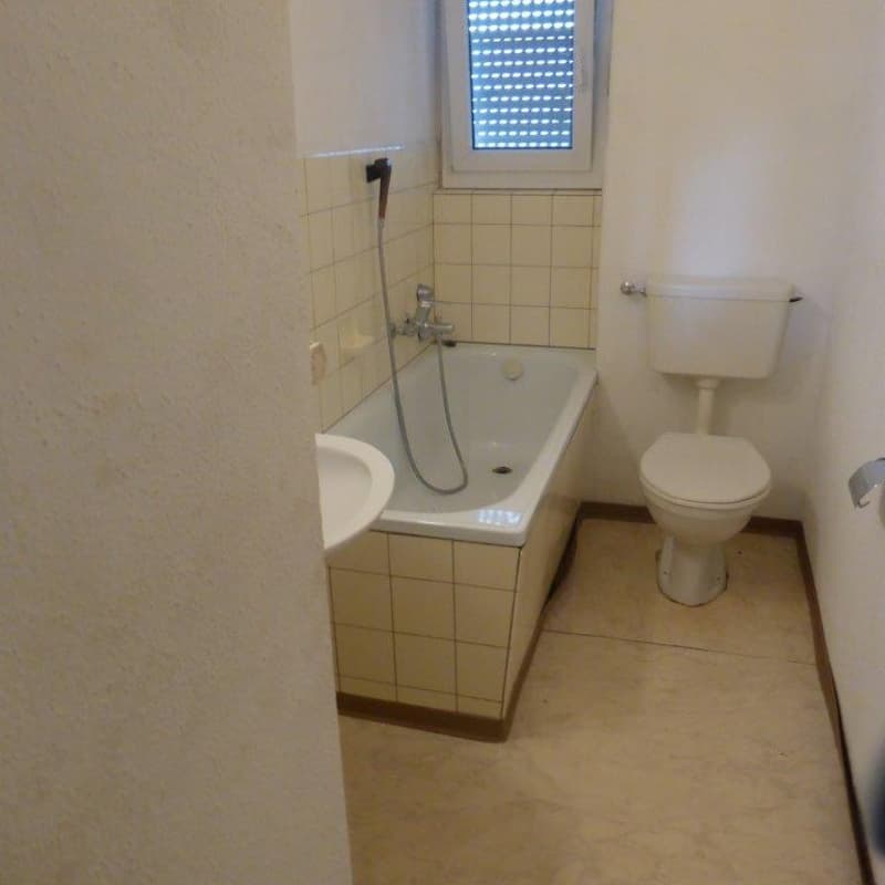 Frisch renovierte 1 1/2-Zimmerwohnung zu vermieten (4)