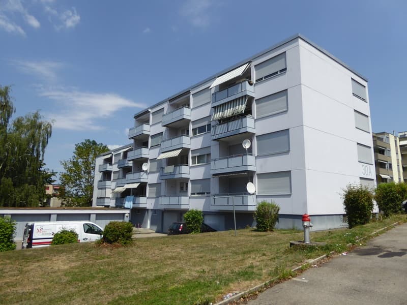 Frisch renovierte 1 1/2-Zimmerwohnung zu vermieten (1)