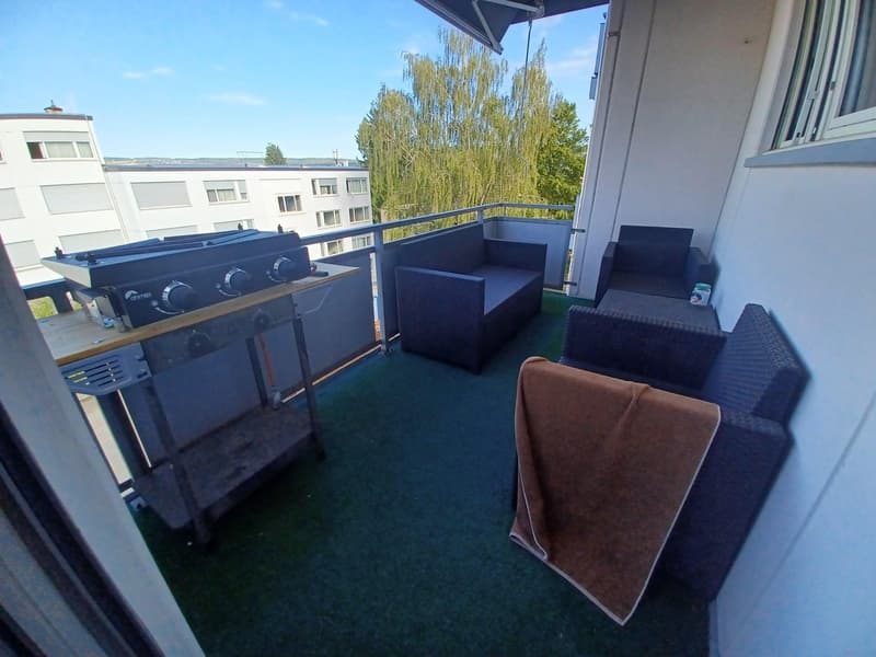 Frisch renovierte 1 1/2-Zimmerwohnung zu vermieten (2)