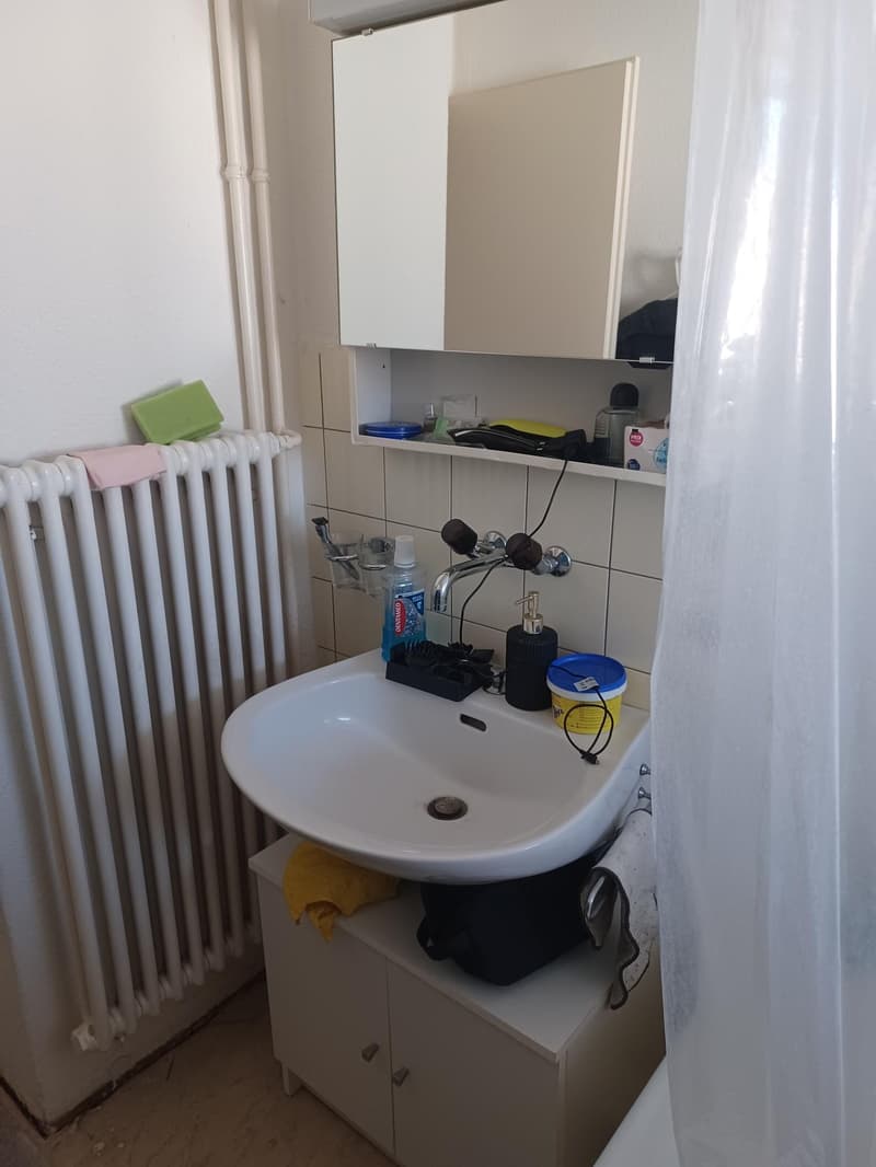 Frisch renovierte 1 1/2-Zimmerwohnung zu vermieten (5)