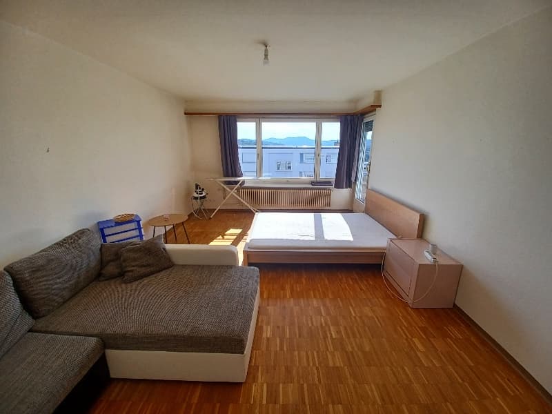 Frisch renovierte 1 1/2-Zimmerwohnung zu vermieten (3)