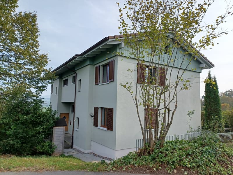 Neu renovierter Hausteil (2)
