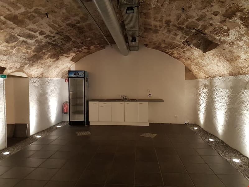 vaulted ceiling, tiled floor, kitchen area with sink and refrigerator, fire extinguisher