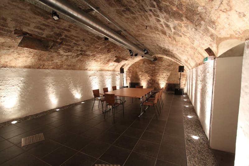 vaulted ceiling, stone walls, long wooden table, chairs, speakers, floor lighting
