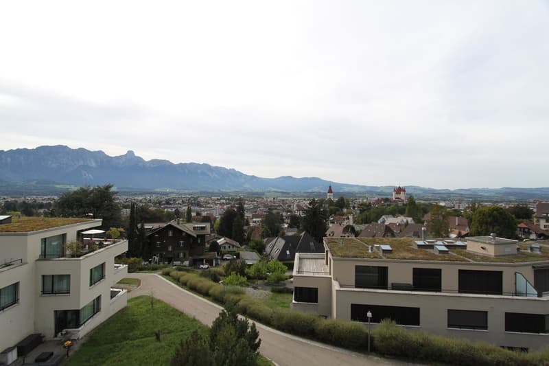 Appartamento attico esclusivo sopra i tetti di Thun (11)