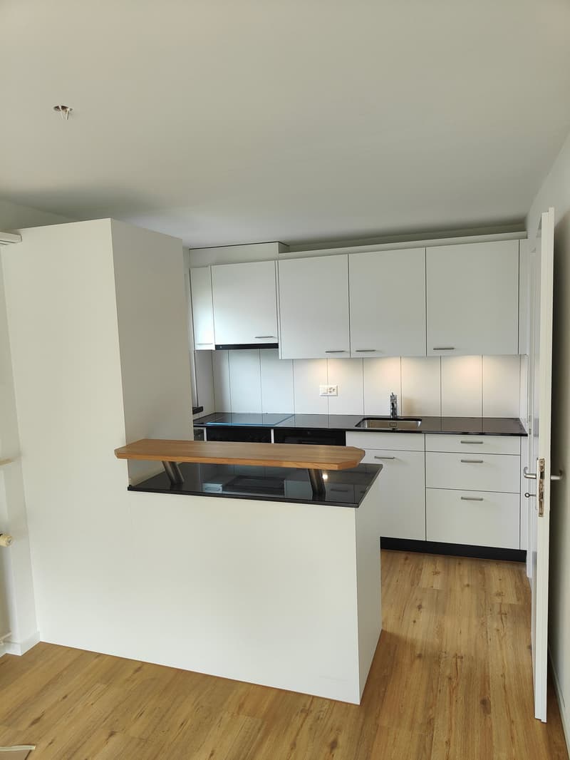 Renovated Jewel in Lerchenfeld (1)