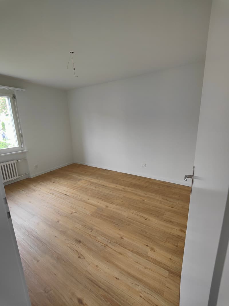 Renovated Jewel in Lerchenfeld (6)