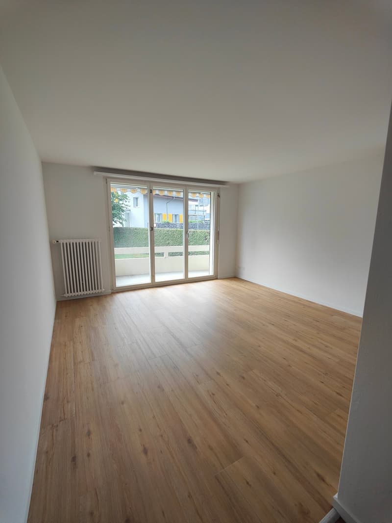 Renovated Jewel in Lerchenfeld (5)