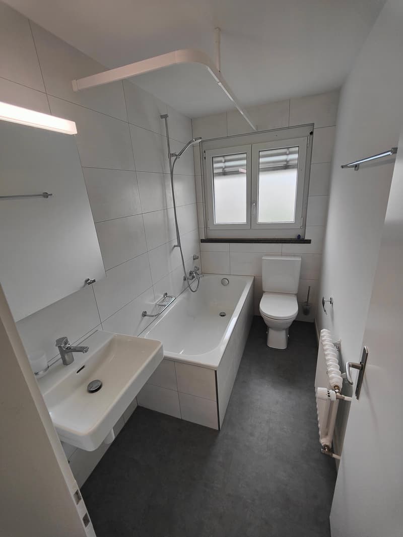 Renovated Jewel in Lerchenfeld (4)