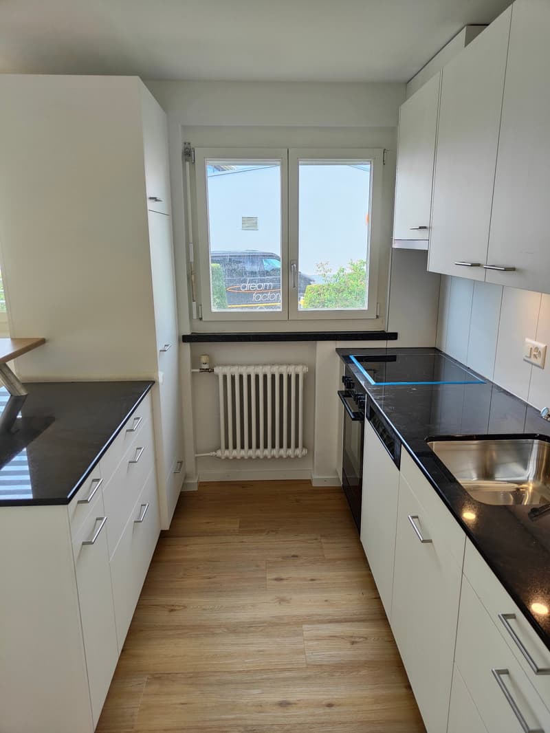 Renovated Jewel in Lerchenfeld (2)