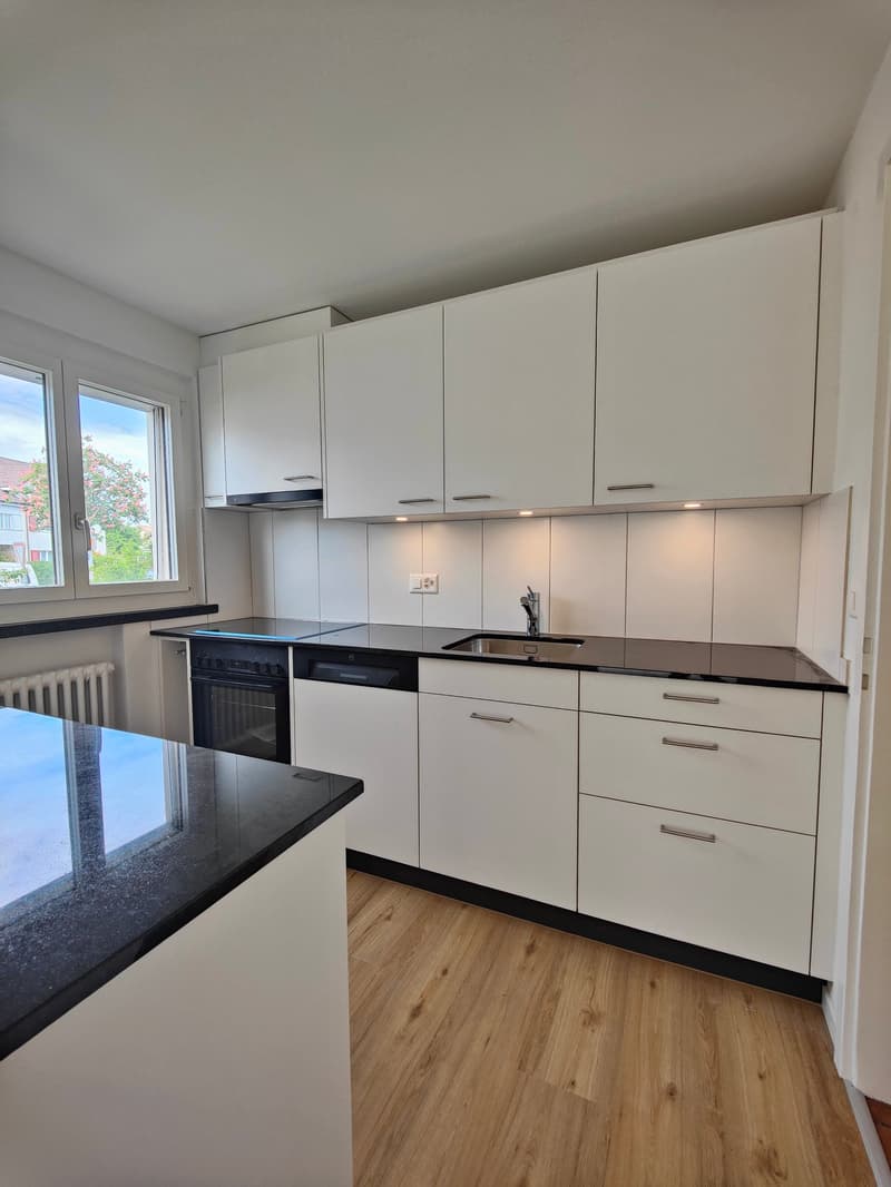 Renovated Jewel in Lerchenfeld (3)