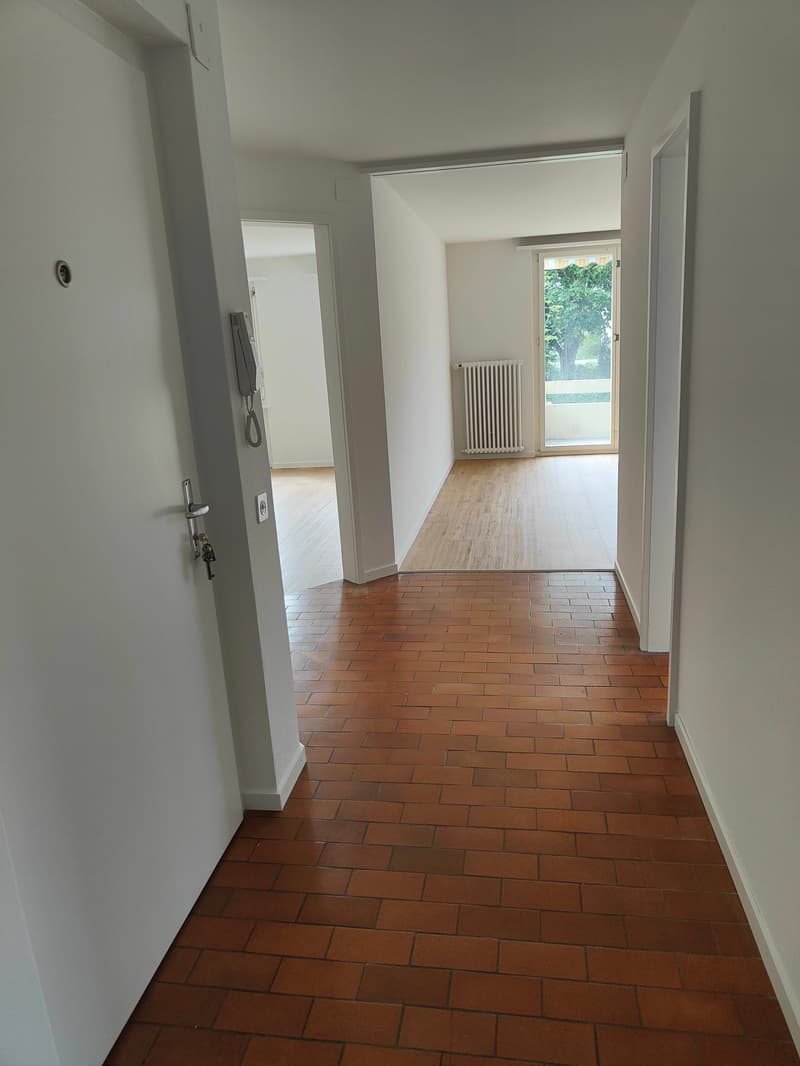 Renovated Jewel in Lerchenfeld (8)