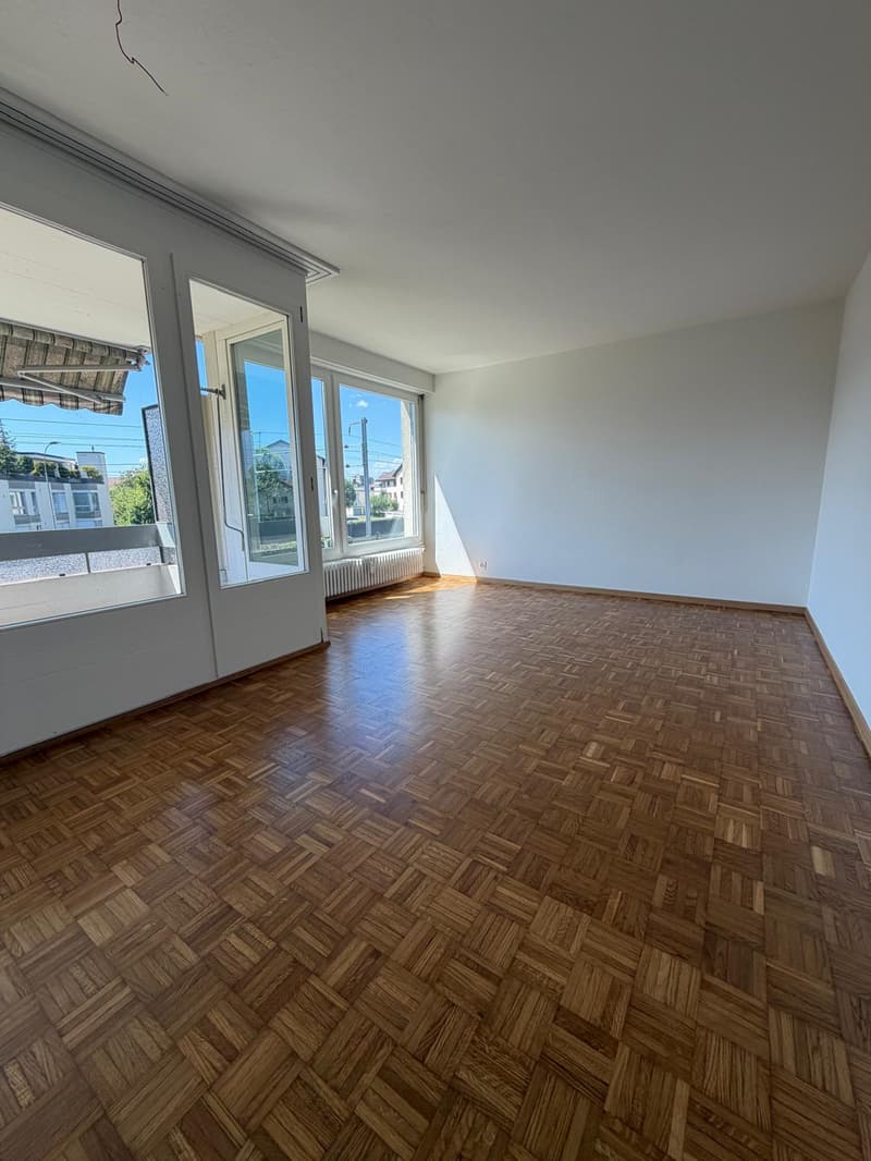Ampio appartamento a Thun (3)