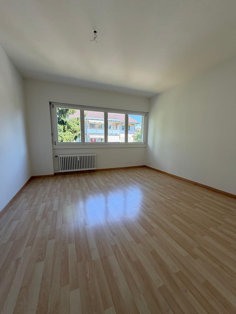 Ampio appartamento a Thun (5)