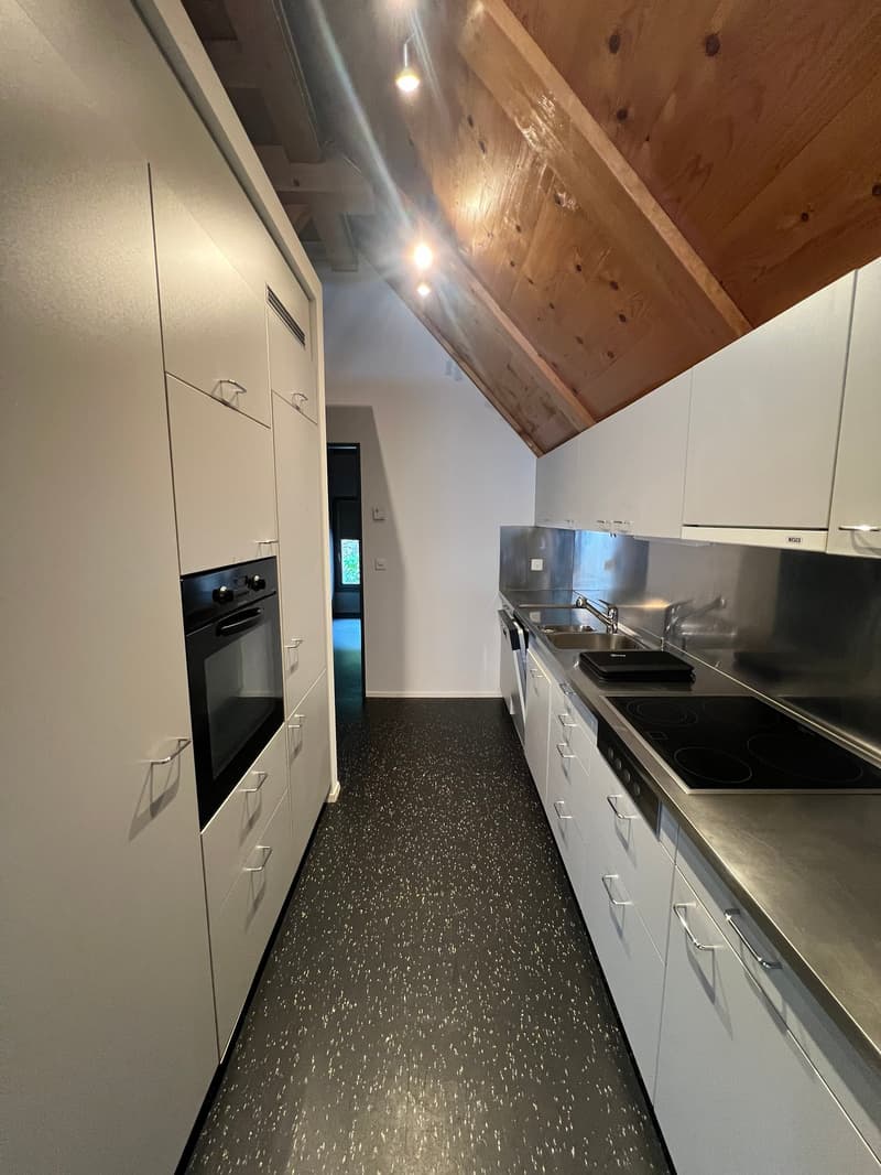 Le parfait appartement-maisonnette en ville à Thoune (1)