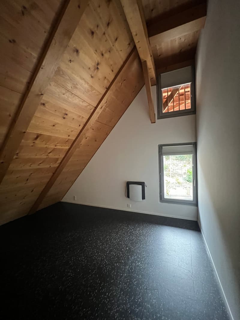 Le parfait appartement-maisonnette en ville à Thoune (7)