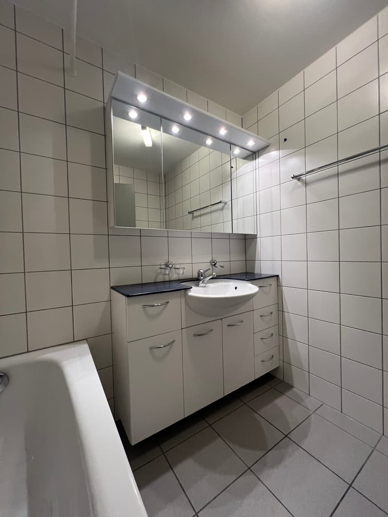 Le parfait appartement-maisonnette en ville à Thoune (9)