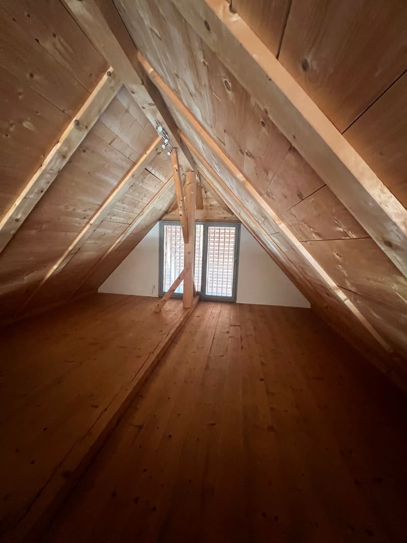 Le parfait appartement-maisonnette en ville à Thoune (4)