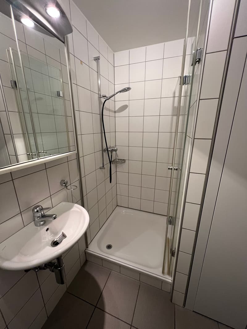 Le parfait appartement-maisonnette en ville à Thoune (8)