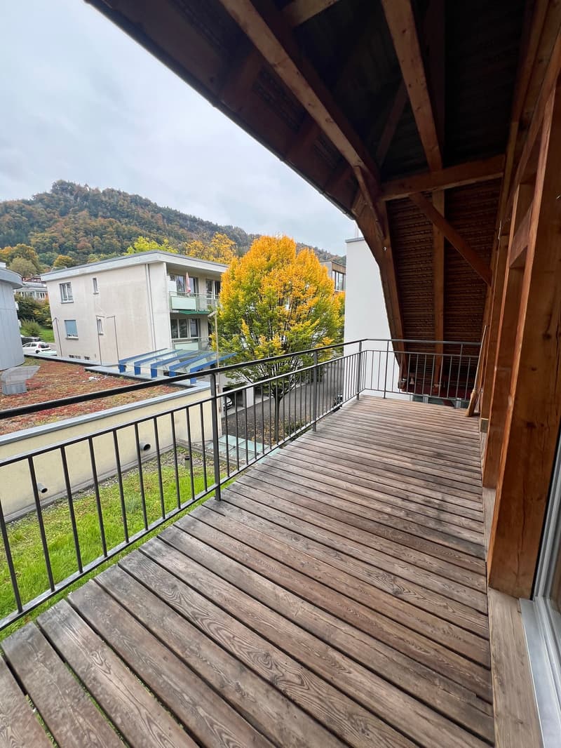 Le parfait appartement-maisonnette en ville à Thoune (10)
