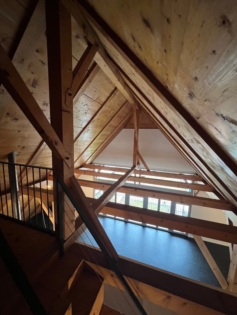 Le parfait appartement-maisonnette en ville à Thoune (5)