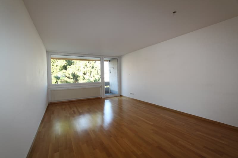 Helle 2-Zimmerwohnung mit grossem Balkon (5)