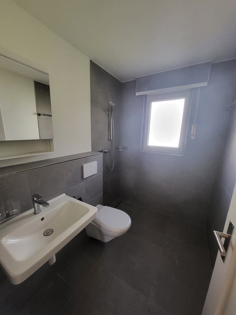 Charmante 2-Zimmer-Wohnung mit Balkon und Bergblick in Hilterfingen (2)
