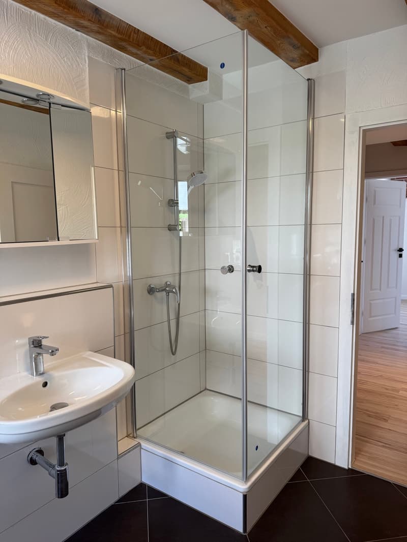 Appartement maisonnette 6 pièces dans un quartier calme et à proximité d'un espace de loisirs (5)