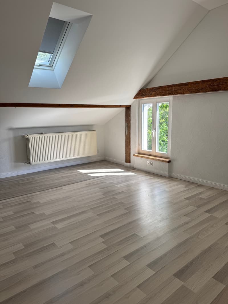 Appartement maisonnette 6 pièces dans un quartier calme et à proximité d'un espace de loisirs (12)