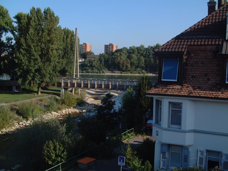Bella maisonette di 3,5 locali vicino a Birs con vista sul Reno (8)