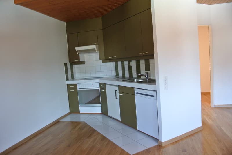 Bella maisonette di 3,5 locali vicino a Birs con vista sul Reno (4)