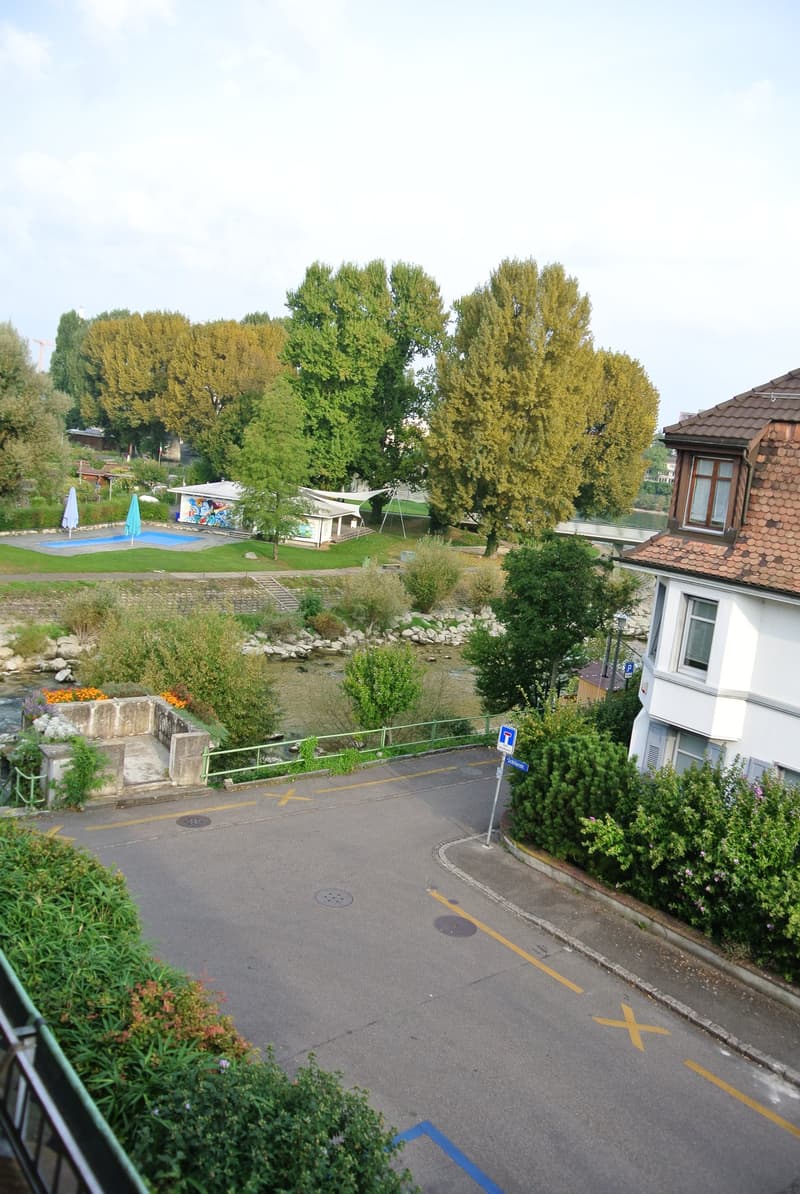 Bella maisonette di 3,5 locali vicino a Birs con vista sul Reno (9)