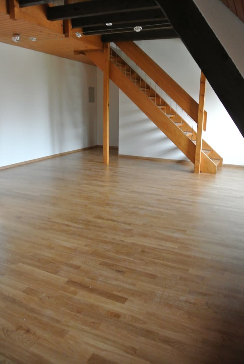 Bella maisonette di 3,5 locali vicino a Birs con vista sul Reno (5)