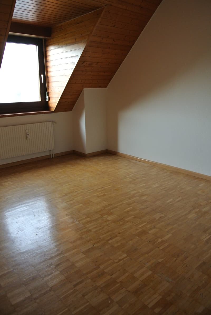 Bella maisonette di 3,5 locali vicino a Birs con vista sul Reno (6)